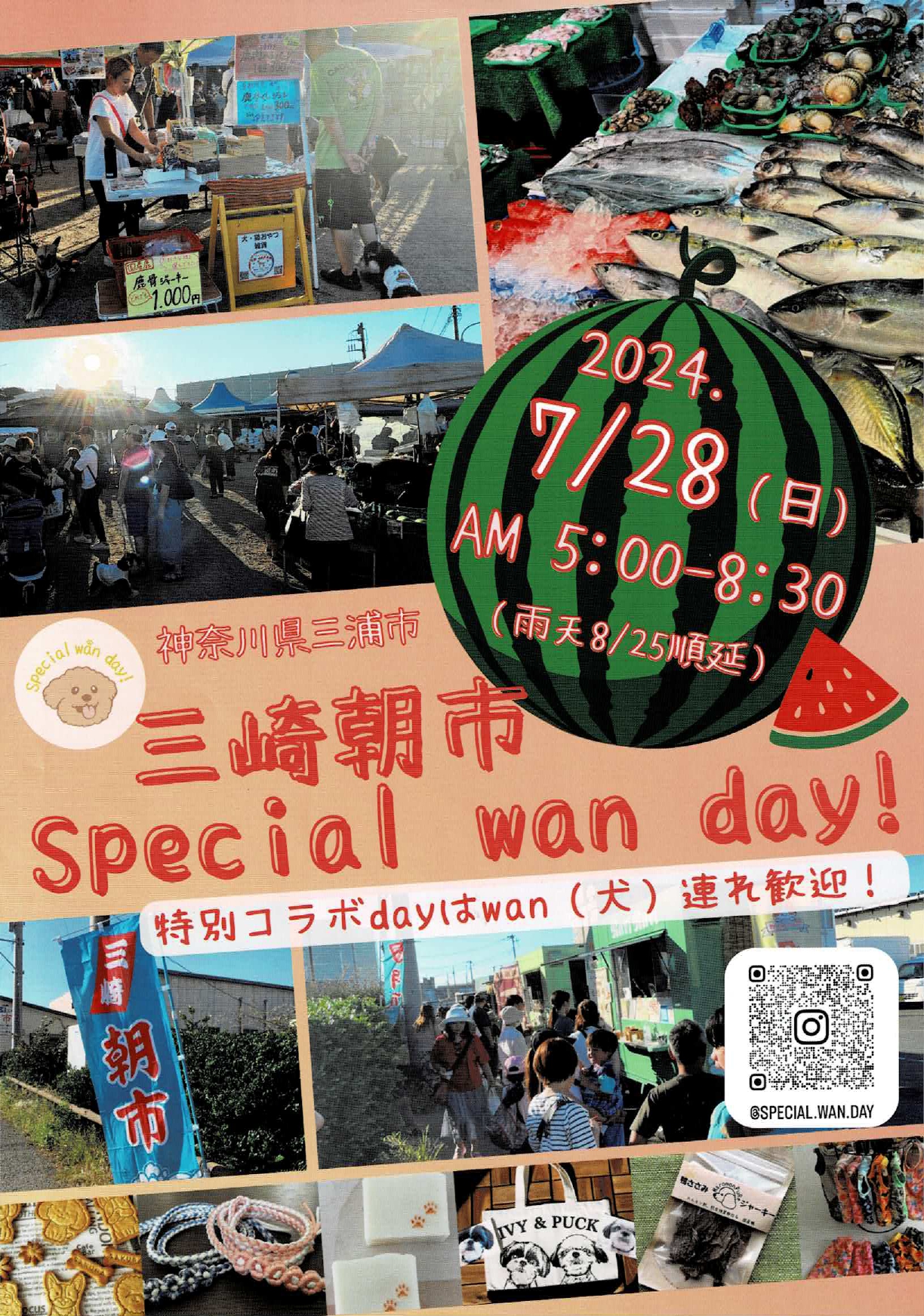 三崎市 Special wan day.